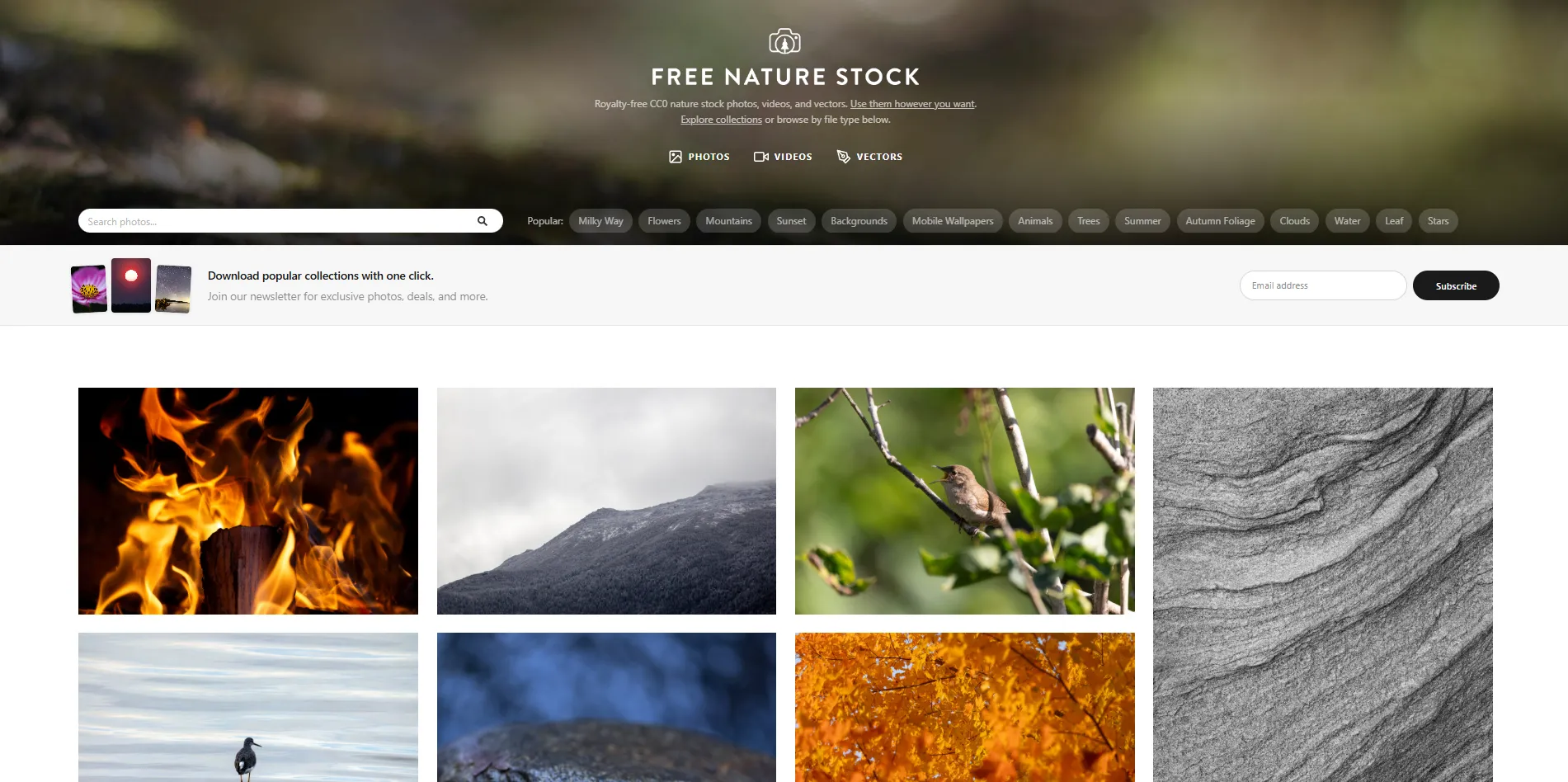 نمایش صفحه اصلی Free Nature Stock | کتابخانه تخصصی تصاویر طبیعت با کیفیت بالا شامل جنگل‌ها، کوه‌ها، اقیانوس‌ها، گل‌ها و مناظر طبیعی برای پروژه‌های زیست‌محیطی، گردشگری و طراحی